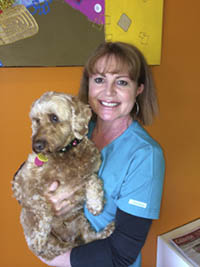 Vanessa O‘Neill - Registered Veterinary Nurse